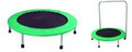 Trampoline With Assist Handle