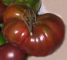 One of our best selling 'Black Tomatoes'