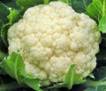 Wholesale Snowball Cauliflower-10,000 Seeds