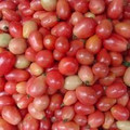 Thai Pink Egg Tomato-RARE!