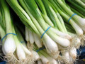 Wholesale Green Bunching Onion (Scallion) Seeds