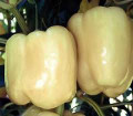 White Bell Pepper (Diamond) Seeds