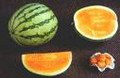 Orangeglo Watermelon Seeds  125