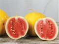 Tasti Gold Watermelon Seeds