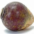 Wholesale Rutabaga Seeds/American Purple Top