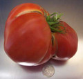 Wholesale Coustralee Tomato Seeds