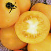 Yellow Perfection Tomato Seeds