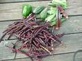 Wholesale Purple Pink-eyed Pea