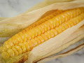 Wholesale IO Chief F1 Sweet Corn-1 Pound-ON SALE
