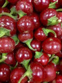 Sweet Cherry Pepper Seeds-WHOLESALE