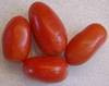 Wholesale Roma VF Tomato-15,000 SEEDS