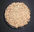 Wholesale Black-eyed Pea Seeds-4 Pounds
