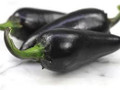 Black Hungarian Pepper-RARE