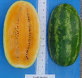 GOLD STRIKE F1 WATERMELON SEEDS