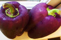 Bulk Purple Wonder Bell Pepper SEEDS