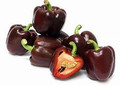 Choclate Bell Pepper F1 Seeds