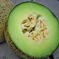 WHOLESALE Rocky Ford (Green Gem) Cantaloupe SEED