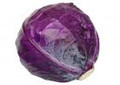 Red Acre Cabbage Seeds