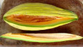 Banana Melon - 500 Seeds-ON SALE!