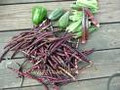 Wholesale Purple Hulled (Pinkeye) Pea