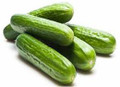 Cucumber/Ashley-1,000 Seeds