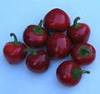 Bulk Cherry Bomb Hot Pepper-500 Seeds