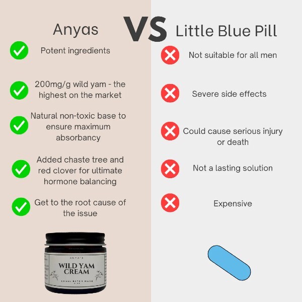 anyas2.4.jpg