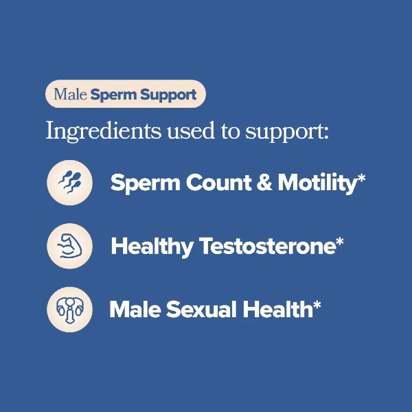 preggo-sperm555.jpg