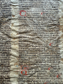 M6466 Leaf from a large format word list, in Latin, decorated manuscript on vellum England, probalby Oxford, c. 1300