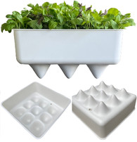 Foodmap Greens Container
