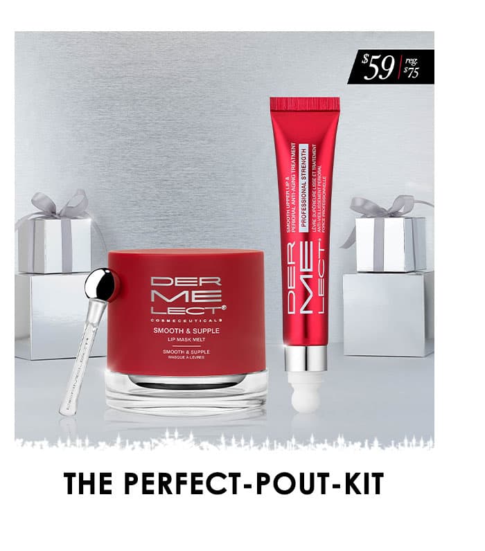 THE PERFECT POUT KIT