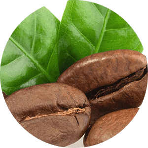 Coffee Bean Extract