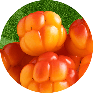 Cloudberry
