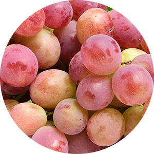 Grape Seed Oil