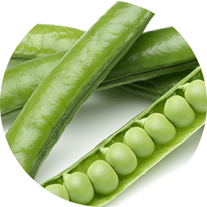 Green Pea