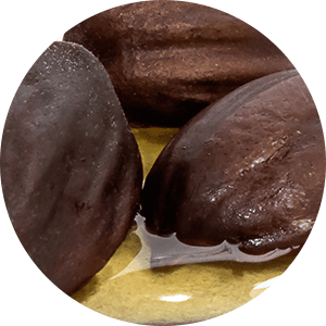 Jojoba Oil