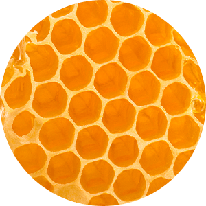 Manuka Honey