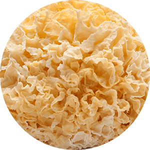 Tremella Mushroom