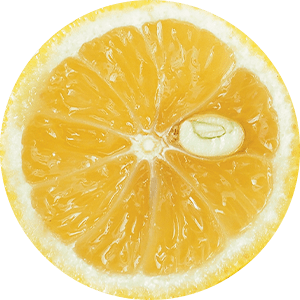 Japanese Yuzu