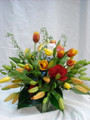 EB-3 Lilys and Tulips