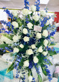 Blue and White Eseal Spray