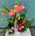 Tropical Design for all Occadions