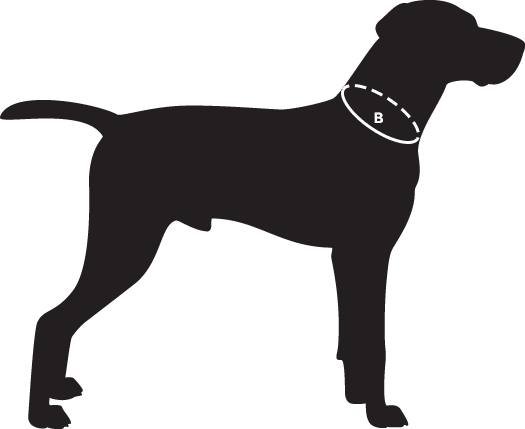 Ruffwear Knot-A-Collar Measuring Image