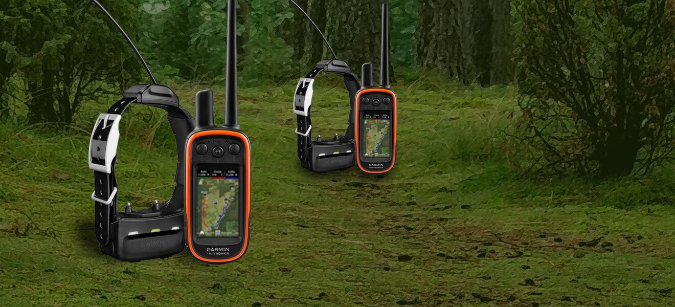 Hunting Dog Gear Wild Boar Usa Ugly Dog Ranch