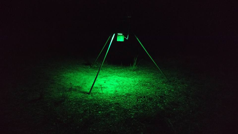 Kill Light Sportsman Solar Powered Motion Activated Feeder Light