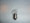 57 CLEAR BAYONET 14V BULB BOXN OF 50