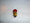 RED TRANSLUCENT 18 VOLTS SCREW BASE BULB