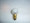 526W BULB 18 VOLT WHITE PAINTED XL GLOBE