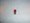 14 VOLT MIDGET E5 SCREW BASE RED PAINTED BULB
