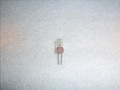 610-8049-318 18 VOLTS, 60 mA TWO PIN CLEAR SMALL FLAT FACE TUBE BULB